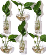 Vases & Plants - Image 2